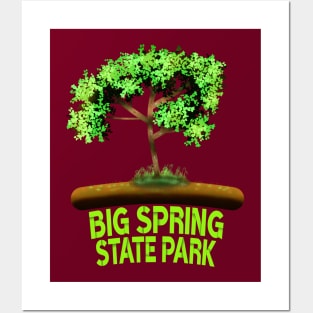 Big Spring State Park Posters and Art